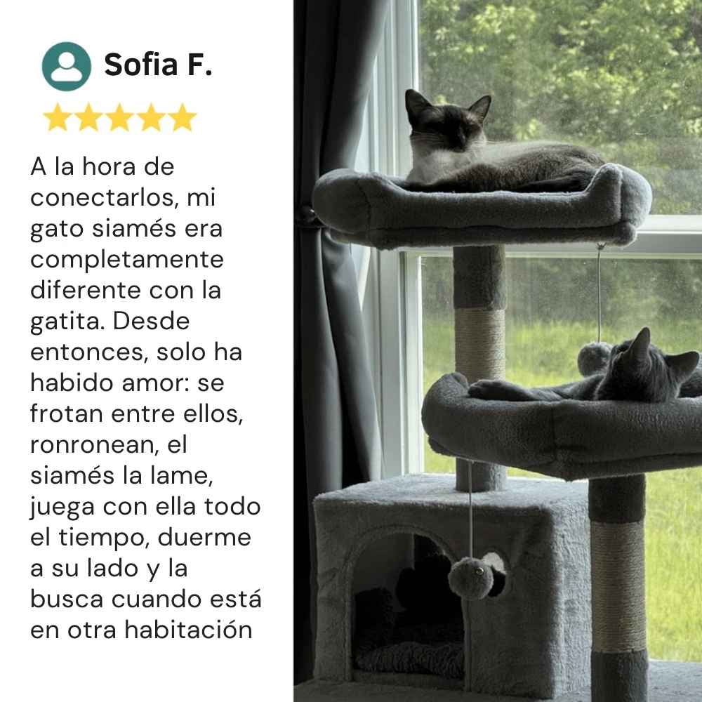 Difusor de Feromonas Veluna para Gatos