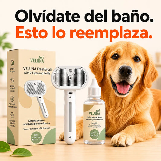Peluka FreshBrush con Bruma Limpiadora