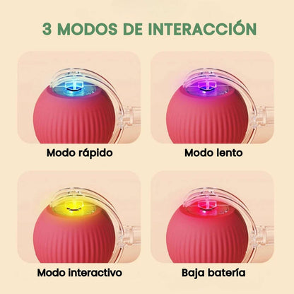 Veluna PelotaViva para Perros