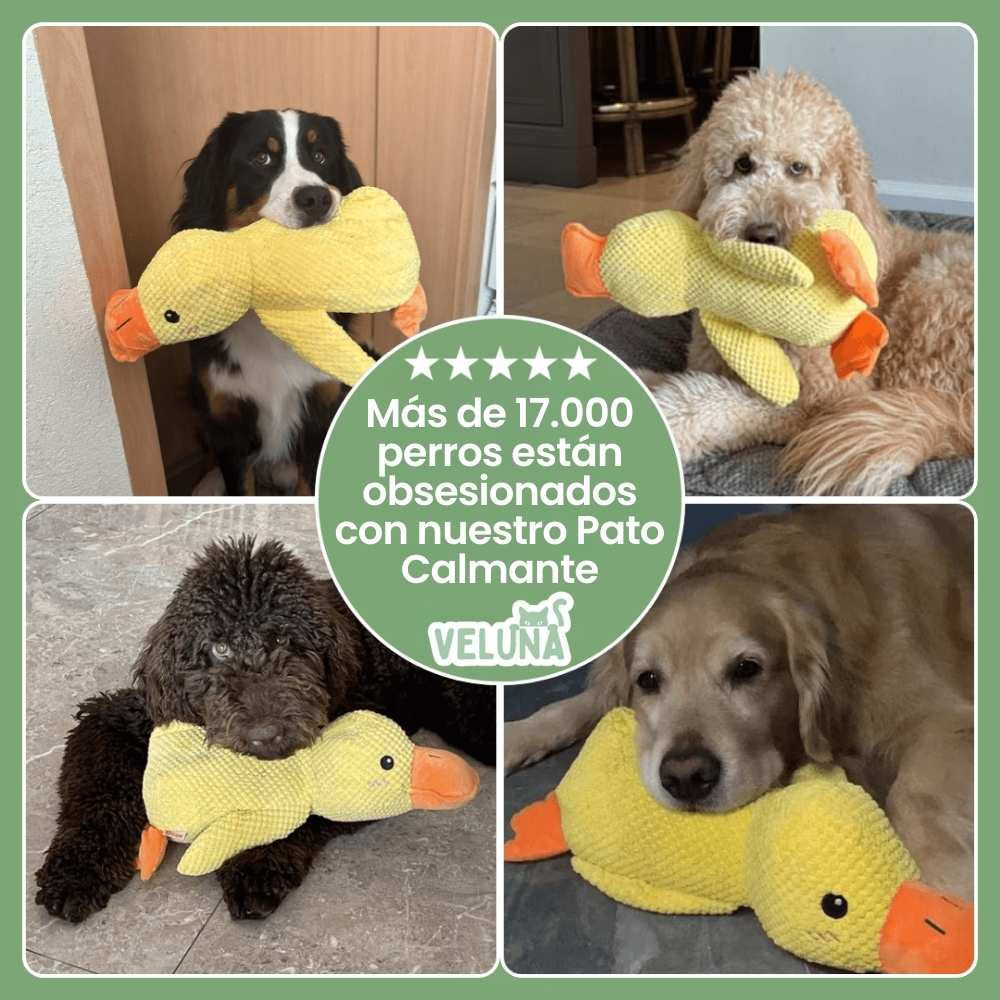 Juguete Pato Tranquilizador de Veluna