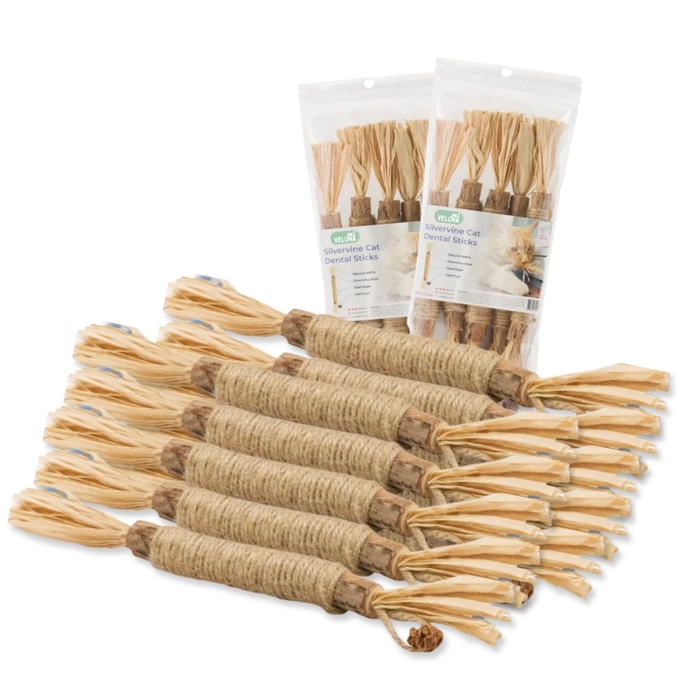 DentaSticks