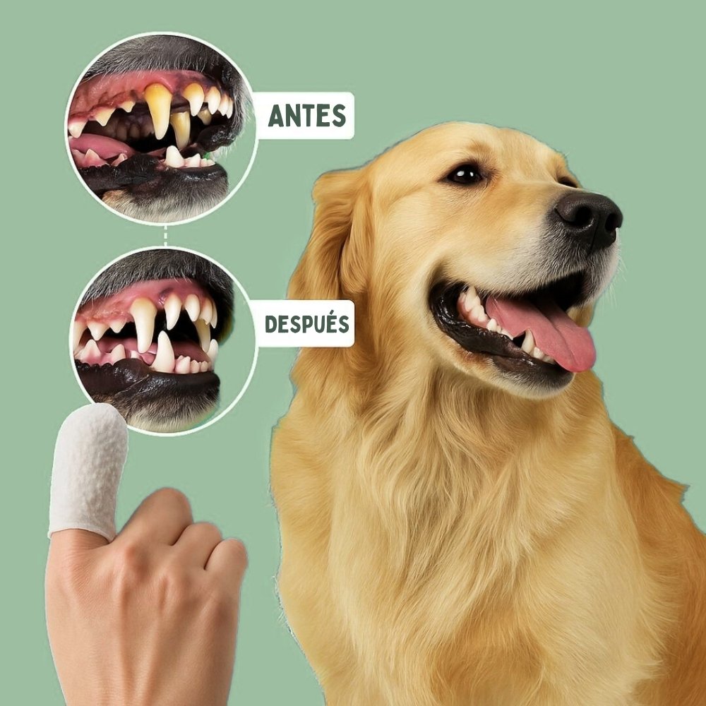 Veluna DentaFresh para Perros