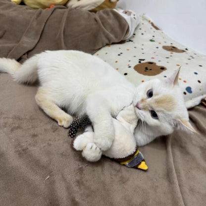 Veluna Pájaro Inteligente Interactivo para Gatos