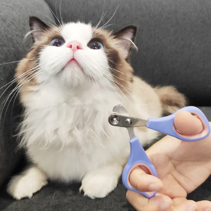 Cortauñas para gatos