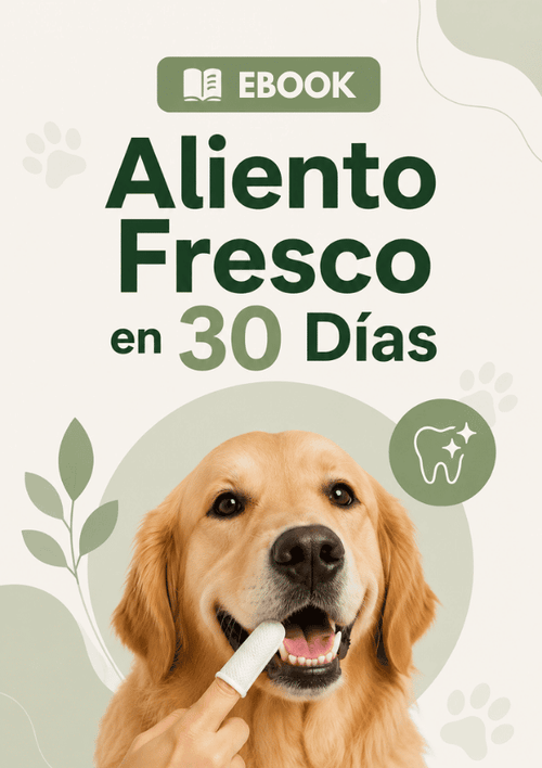 E-book: Aliento Fresco en 30 Días
