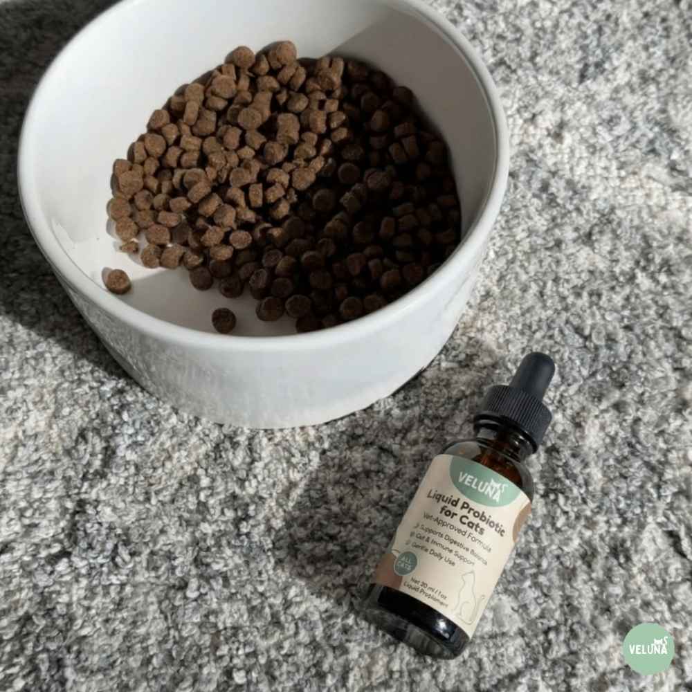 Veluna Probiótico Líquido Avanzado para Gatos