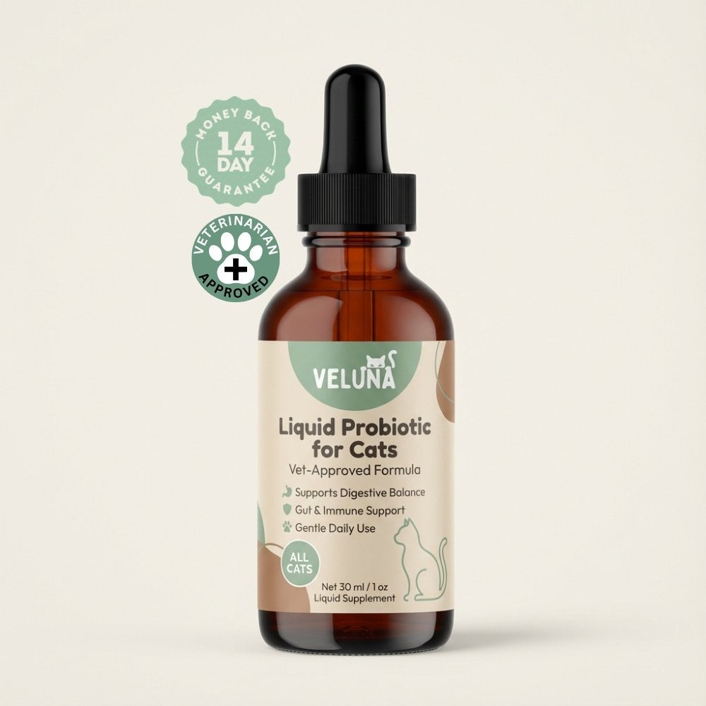 Veluna Probiótico Líquido Avanzado para Gatos