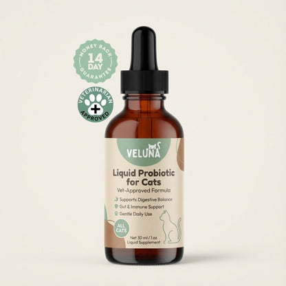 Veluna Probiótico Líquido Avanzado para Gatos