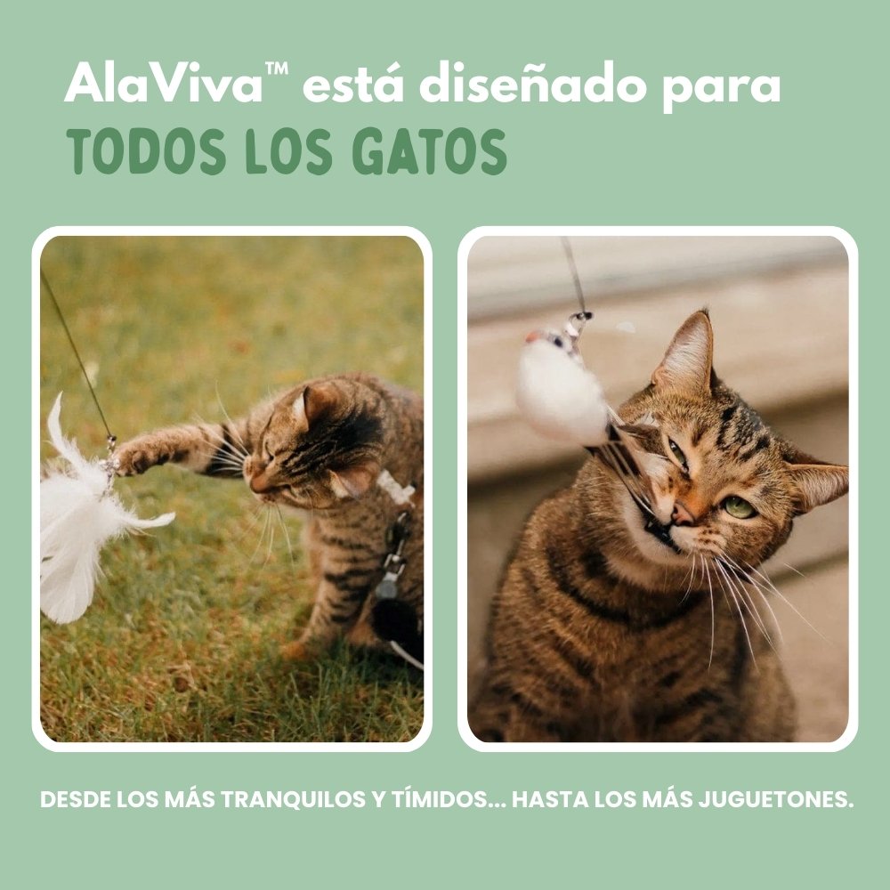 Juguete Interactivo en Forma de Pájaro para Gatos
