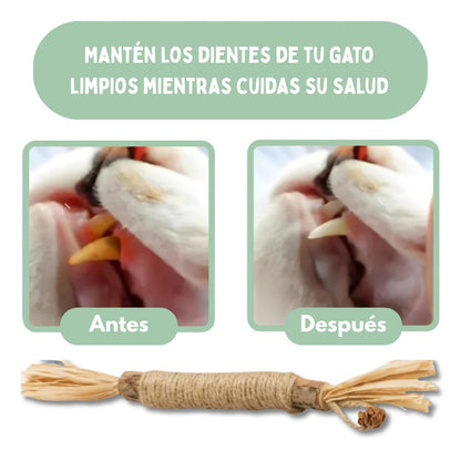 Veluna DentaSticks para Gatos (5uds)