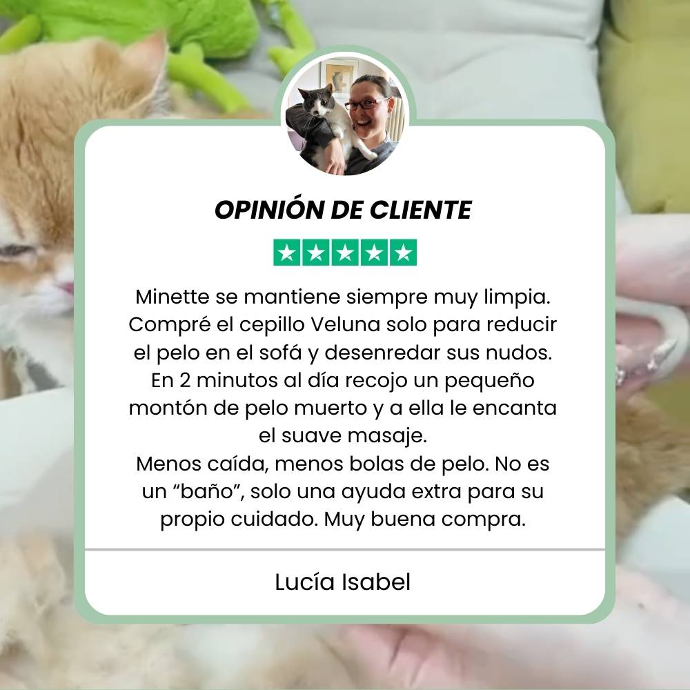 Veluna Steam Brush para gatos