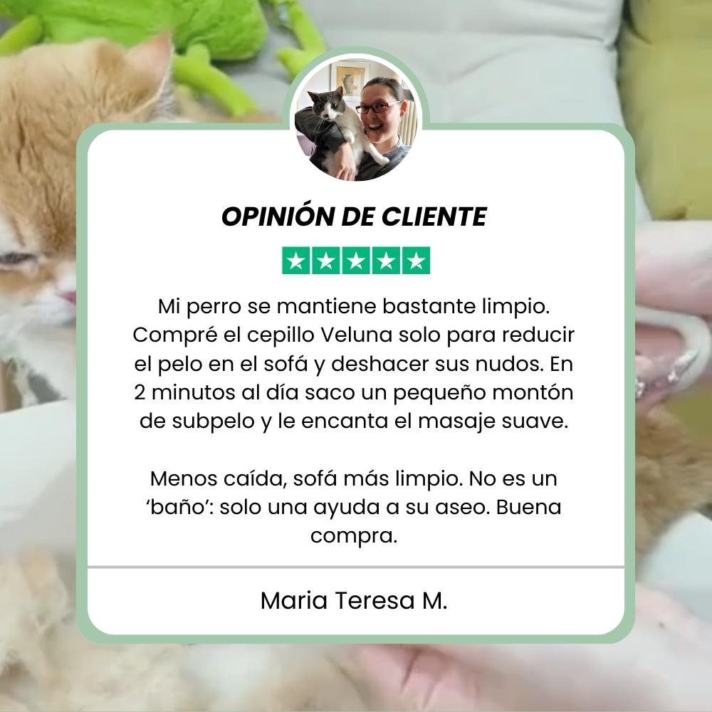 Veluna Steam Brush para Perros