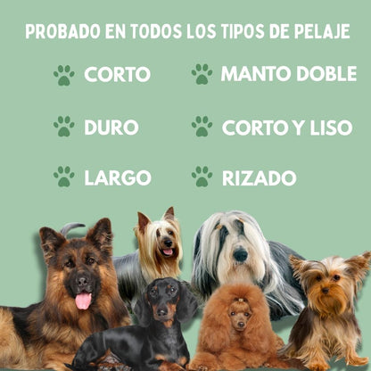 Veluna Steam Brush para Perros
