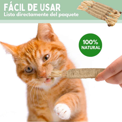 Veluna DentaSticks para Gatos (5uds)