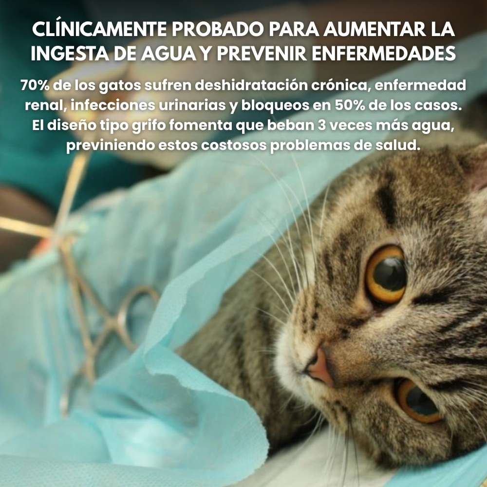 Fuente Veluna para Gatos