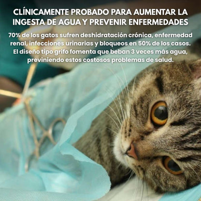 Fuente Veluna para Gatos