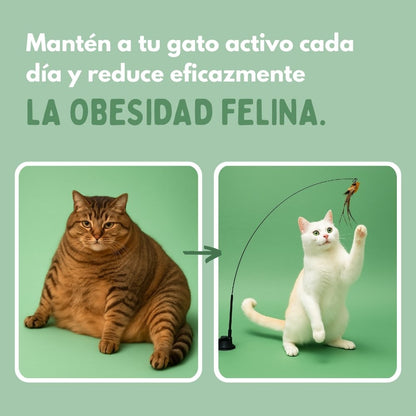 Juguete Interactivo en Forma de Pájaro para Gatos