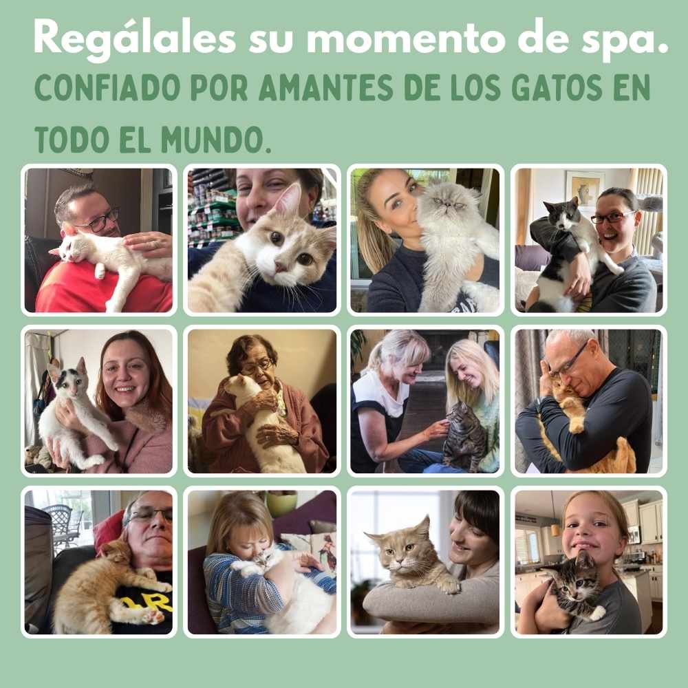 Veluna Steam Brush para gatos