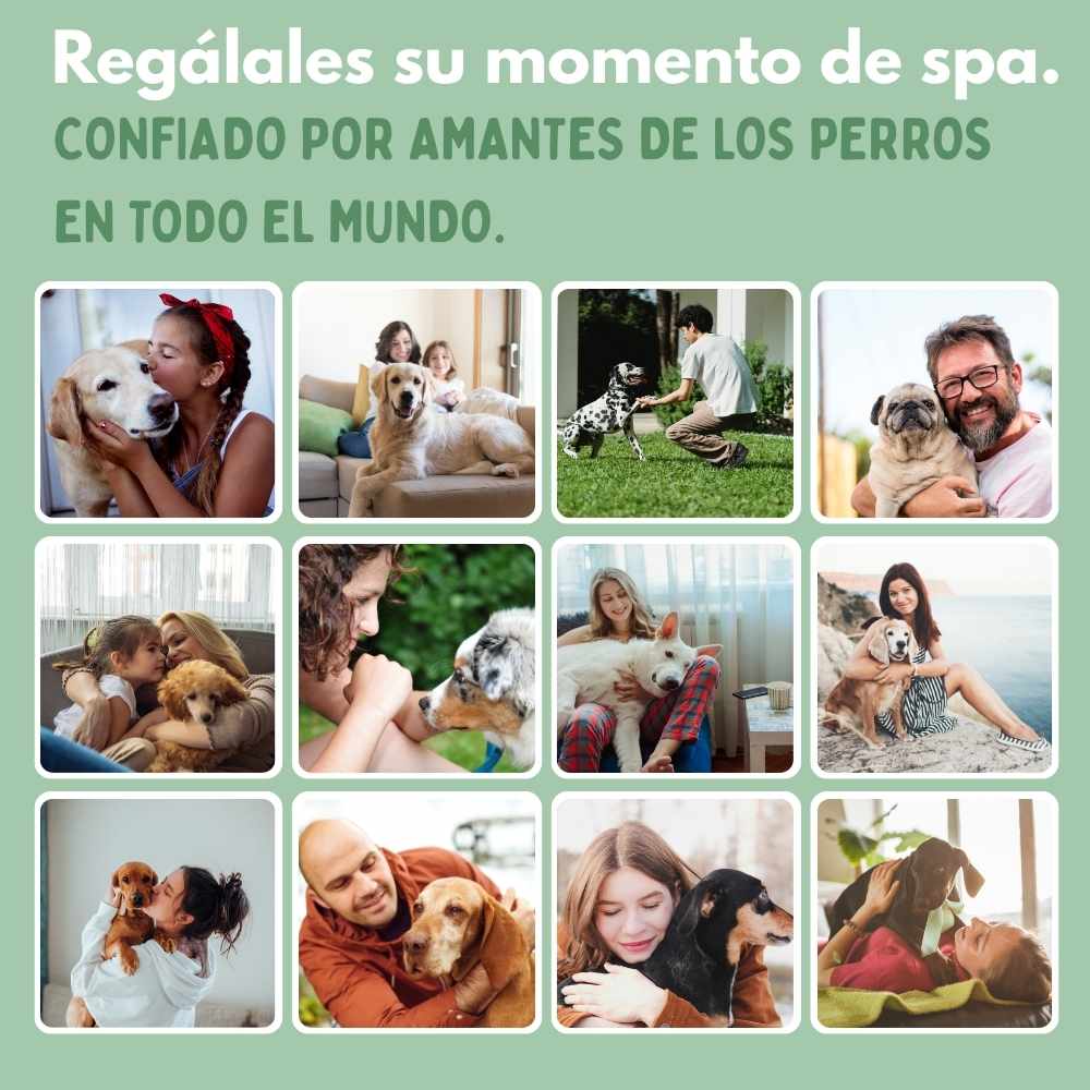 Veluna Steam Brush para Perros
