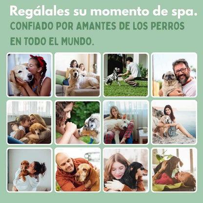 Veluna Steam Brush para Perros