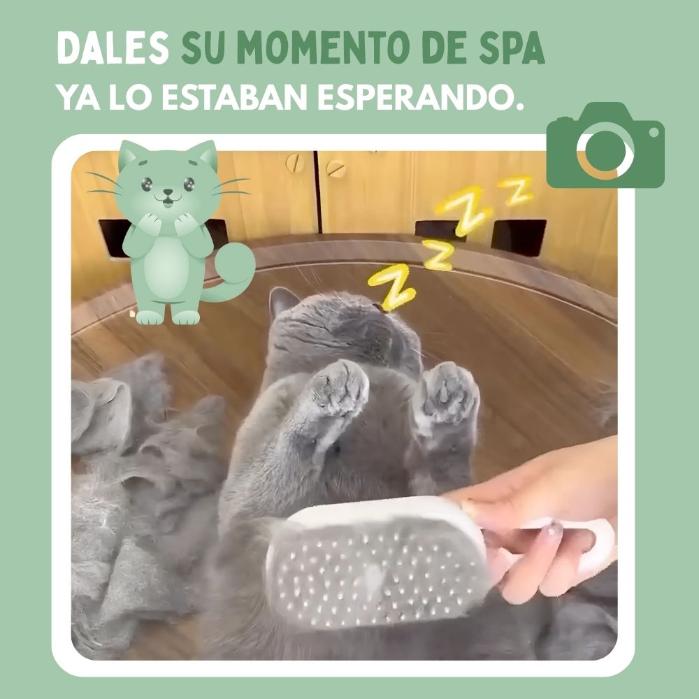 Veluna Steam Brush para gatos