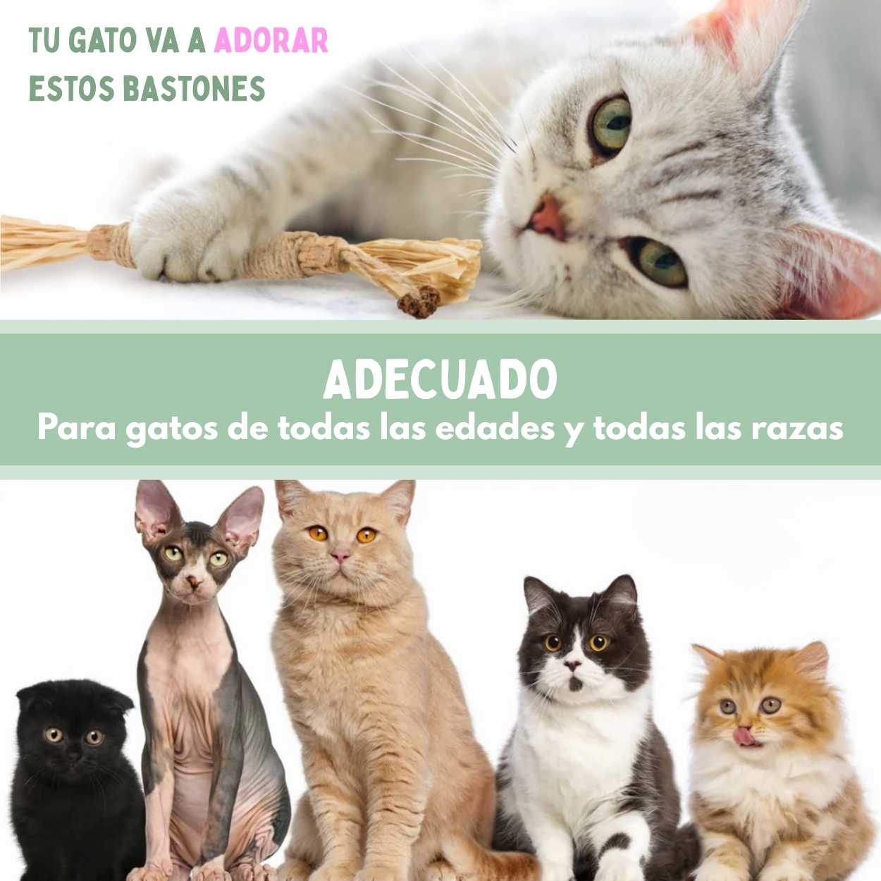 Veluna DentaSticks para Gatos (5uds)