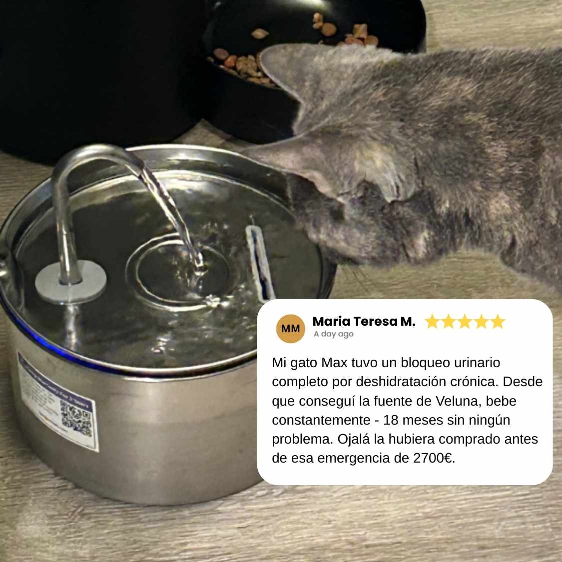 Fuente Veluna para Gatos
