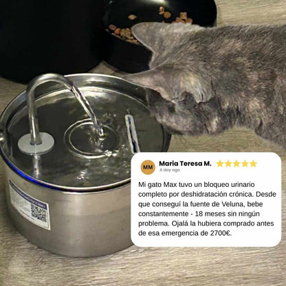 Fuente Veluna para Gatos