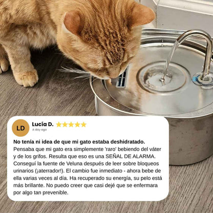 Fuente Veluna para Gatos