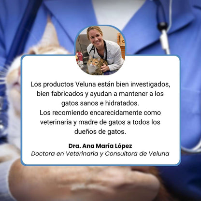 Fuente Veluna para Gatos