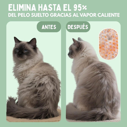 Veluna Steam Brush para gatos