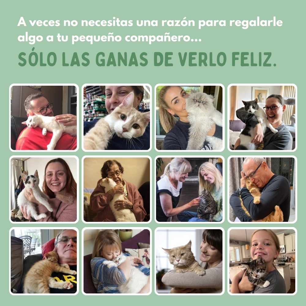 Veluna Pájaro Inteligente Interactivo para Gatos