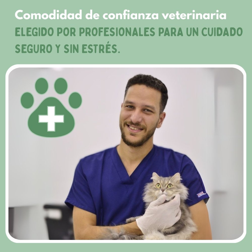Veluna Juguete Interactivo de Ratón para Gatos
