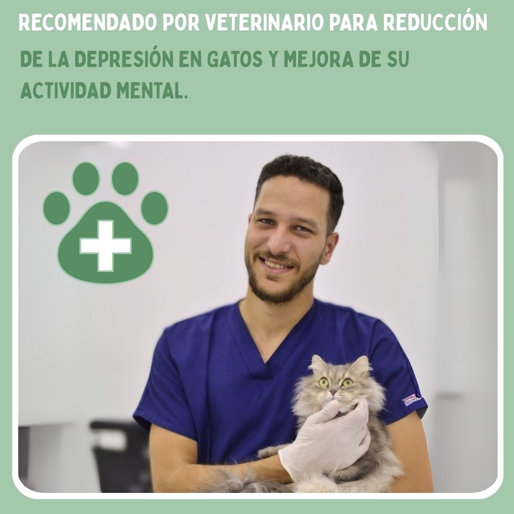 Veluna Pájaro Inteligente Interactivo para Gatos