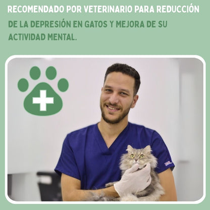 Veluna Pájaro Inteligente Interactivo para Gatos