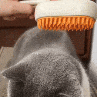 Steam Brush