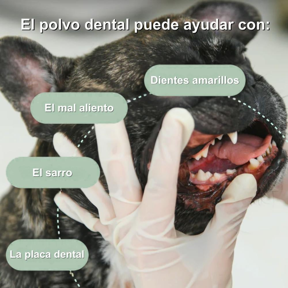 Veluna Polvo Dental para Perros