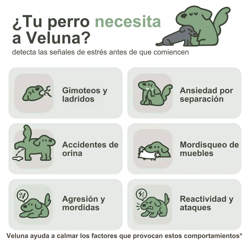 Difusor de Feromonas Veluna para Perros