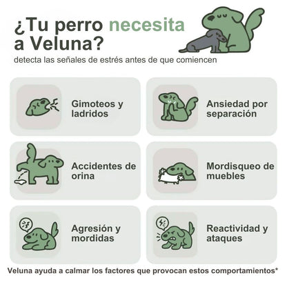 Difusor de Feromonas Veluna para Perros