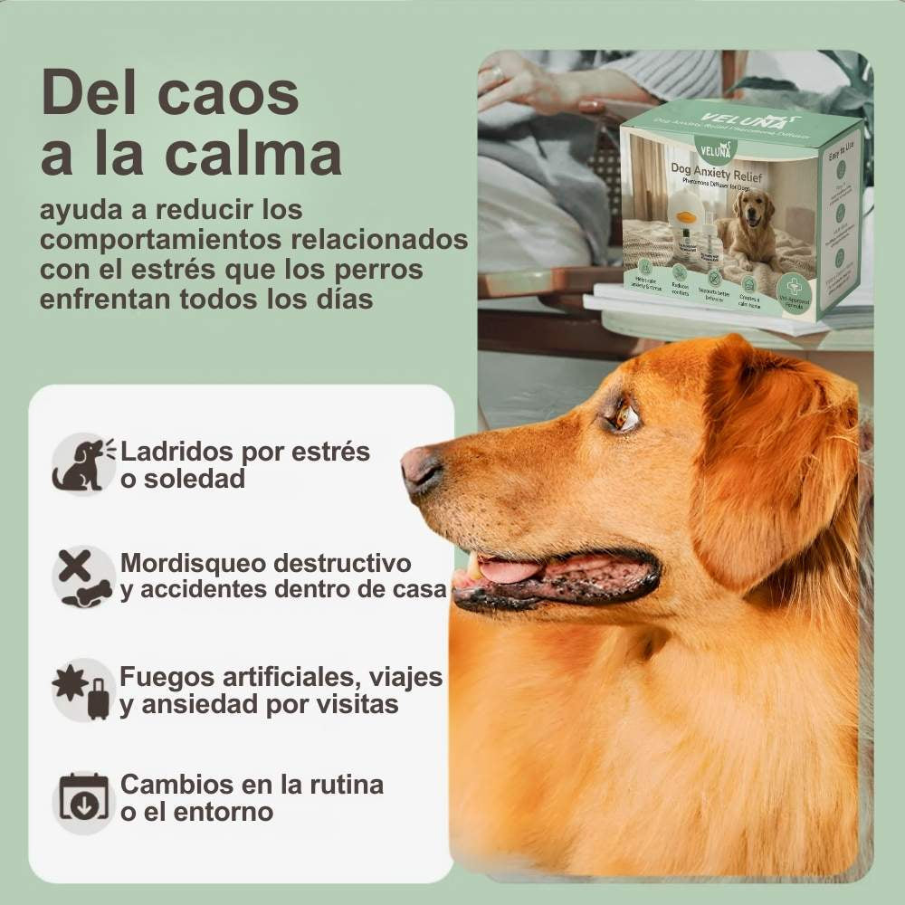 Difusor de Feromonas Veluna para Perros