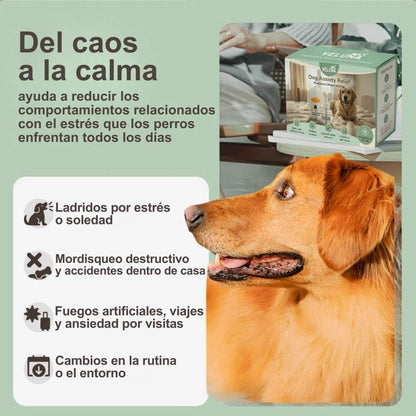 Difusor de Feromonas Veluna para Perros