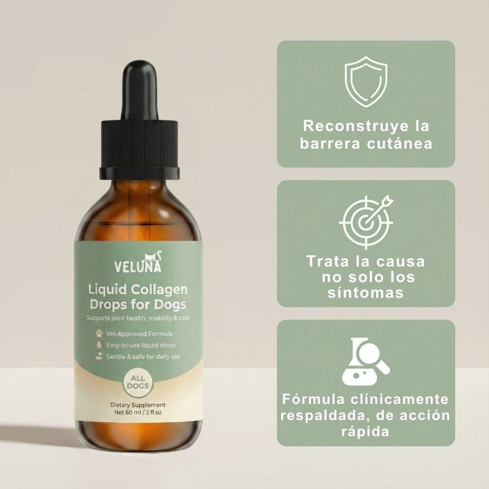 Colágeno Líquido Premium Veluna para Perros
