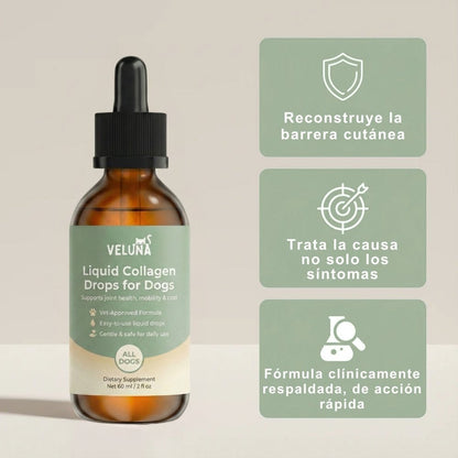 Colágeno Líquido Premium Veluna para Perros