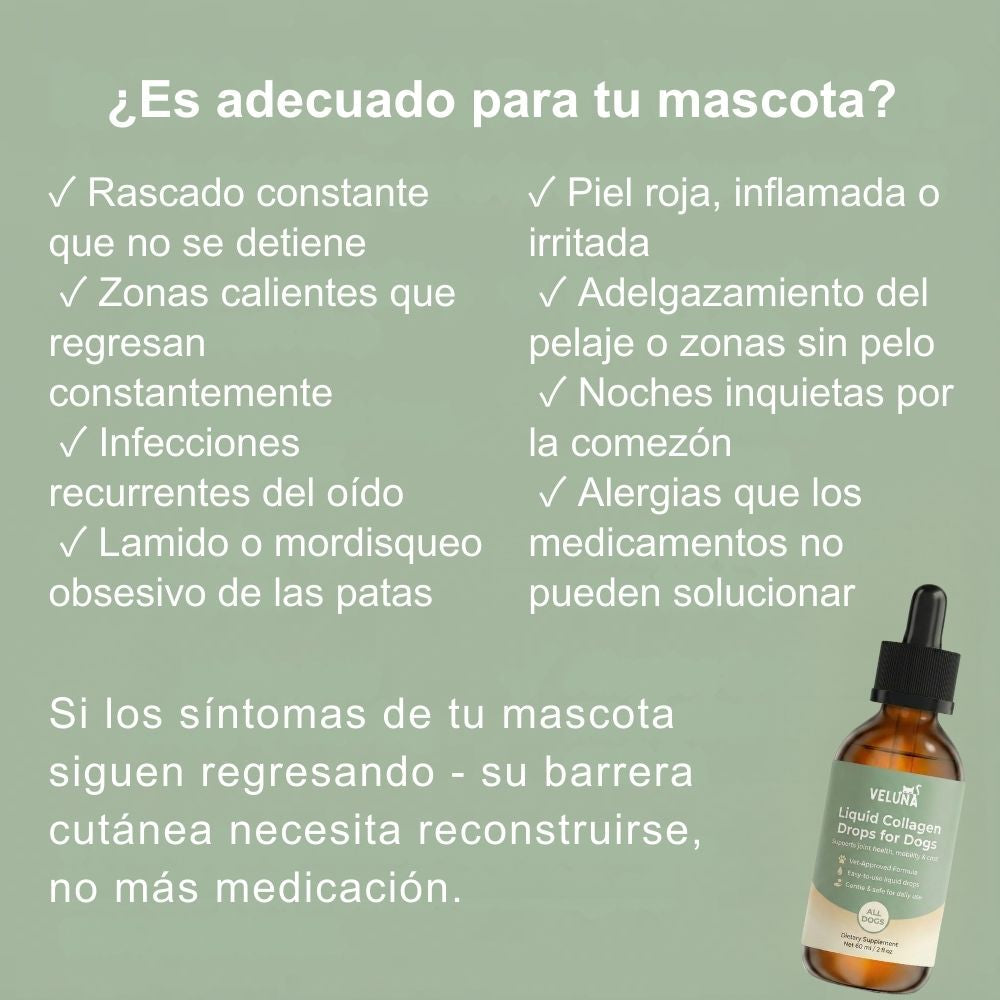 Colágeno Líquido Premium Veluna para Perros