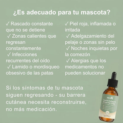 Colágeno Líquido Premium Veluna para Perros