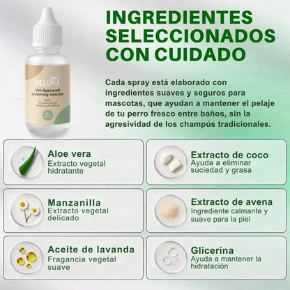 Veluna FreshBrush con Bruma Limpiadora