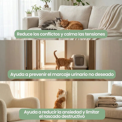Difusor de Feromonas Veluna para Gatos