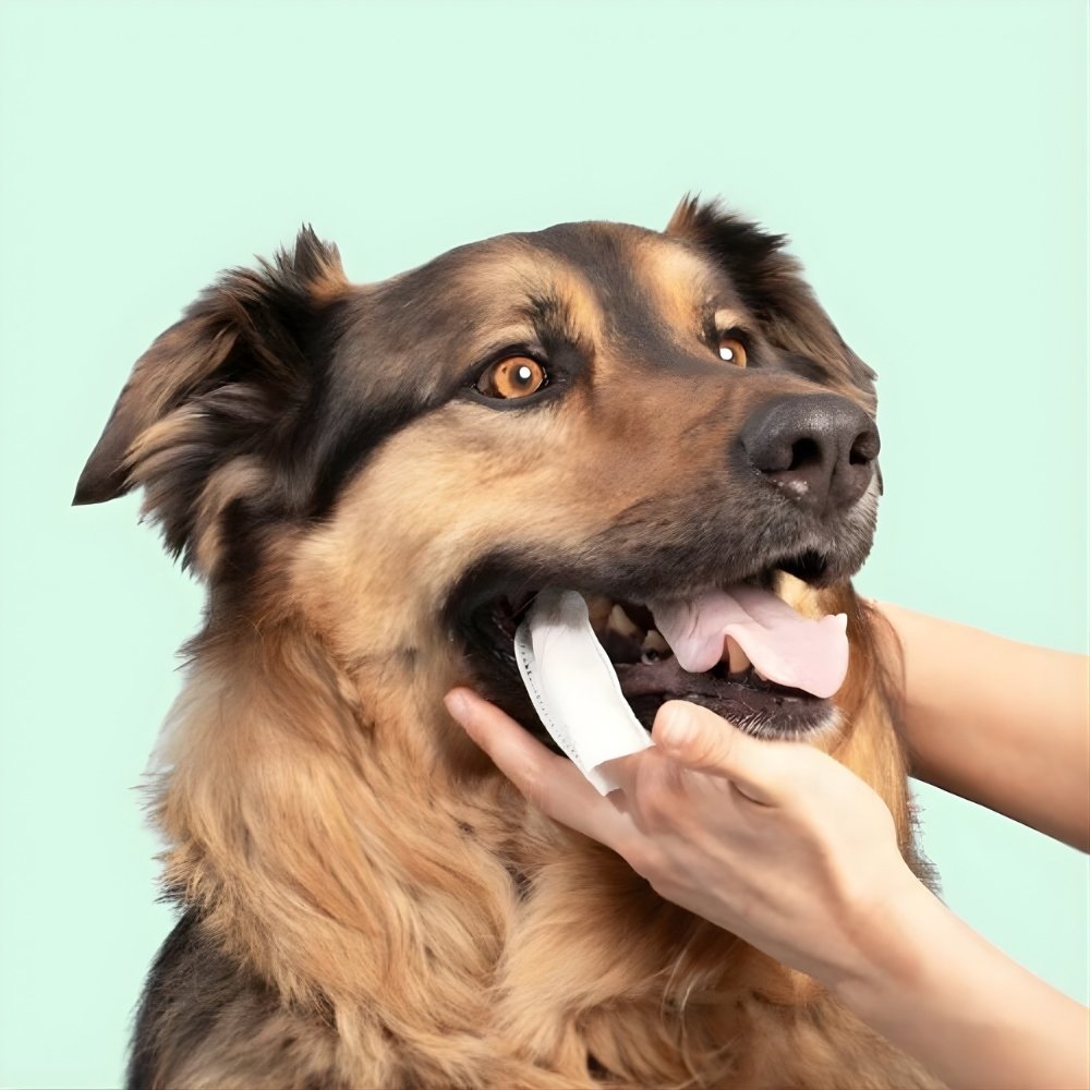 Veluna DentaFresh para Perros