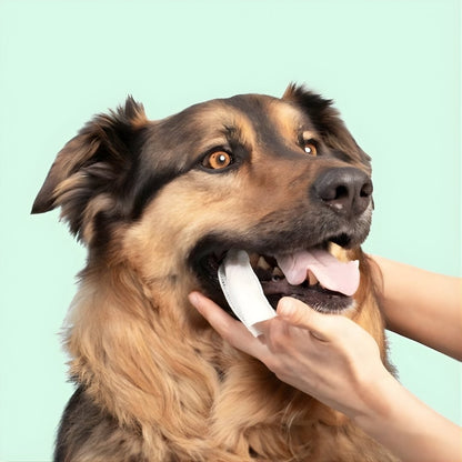 Veluna DentaFresh para Perros