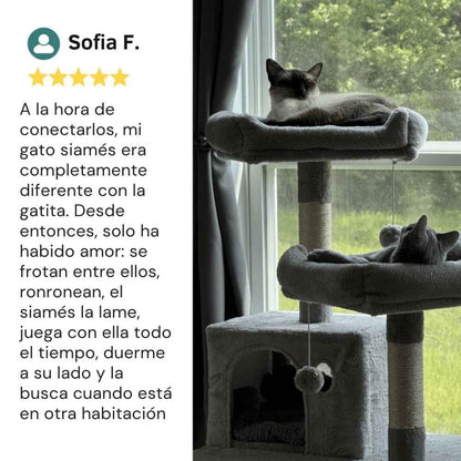 Difusor de Feromonas Veluna para Gatos